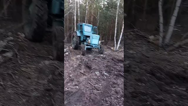 Т.40 смотреть онлайн