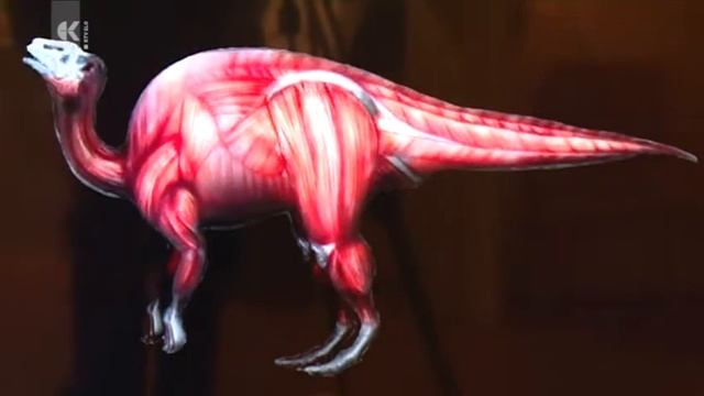 Razstava o dinozavrih смотреть онлайн