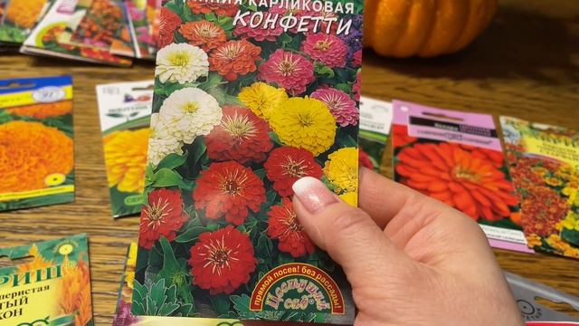 ЦВЕТЫ НОВИНКИ, С ОГРОМНЫМИ СОЦВЕТИЯМИ, ОБВОРОЖИТЕЛЬНОЙ КРАСОТЫ! смотреть онлайн