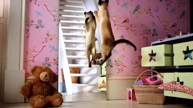 Friskies 20s смотреть онлайн