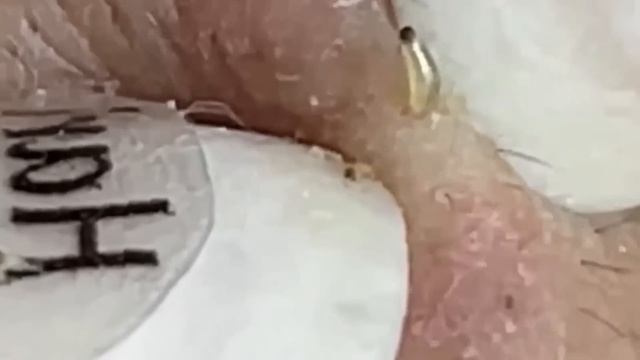 العناية بالبشرة الفاخرة اليومية للوجه مع وكالة ناسا #NASA128