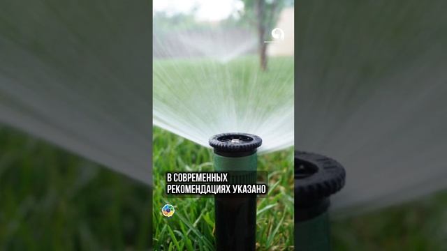 Сколько поливать ГАЗОН ? смотреть онлайн