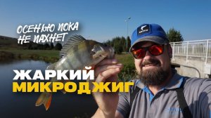 Летний Микроджиг Осенью Жизнерадостная Рыбалка