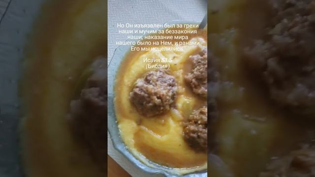 Мой обед (основная его часть). #reels #обед #еда #полента #тефтели #подливка смотреть онлайн