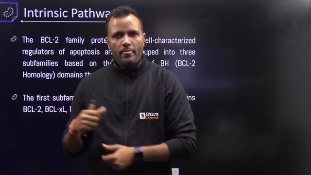 CSIR NET Life Science 2022 | Apoptosis | Apoptosis CSIR NET | Lalit Sir | BYJU'S Exam Prep смотреть онлайн