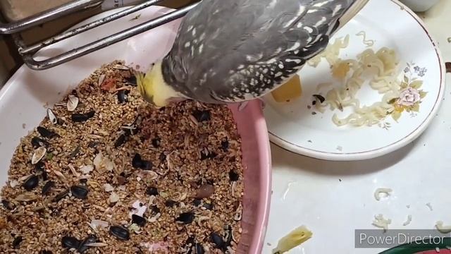 Славянск.08.04.24. День под Действием Затмения. 🌞 Моё меню на два дня ‼️ смотреть онлайн