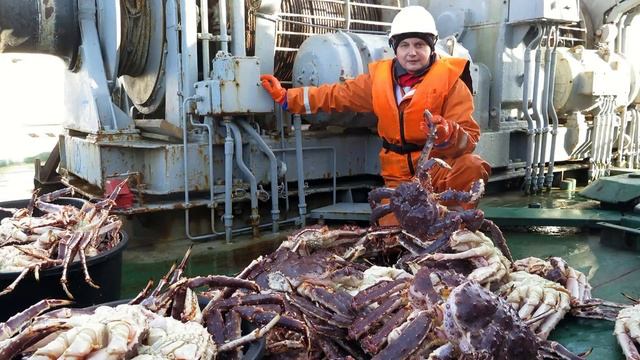 Вниро Итоги 2024 Года смотреть онлайн