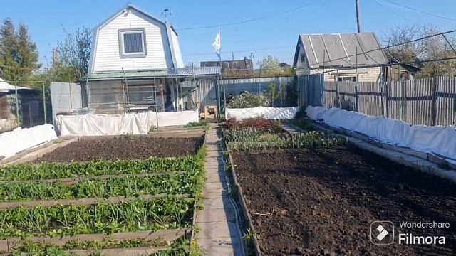 225. Заглянул в укрытие винограда после минус 5 ночью на почве. смотреть онлайн