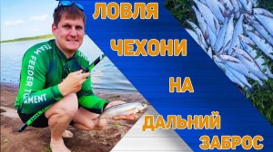 Правильная оснастка для ловли чехони. Ловля чехони на дальний заброс.