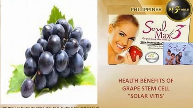 Presentation soulmax chefrey FINAL 360p смотреть онлайн