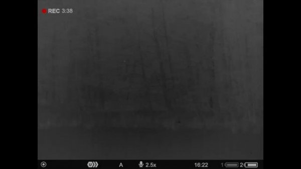 Охота с тепловизором