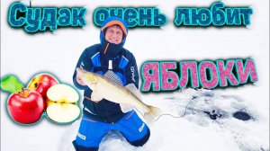 Судак очень любит ЯБЛОКИ. Ловля судака на  РАТЛИНЫ на реке Кама.