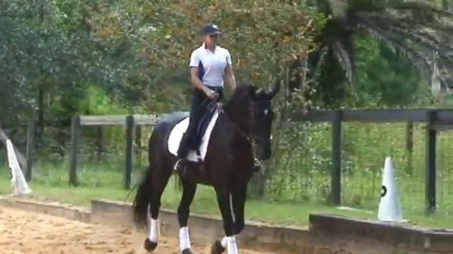 Monte Cristo w/Sue kolstad смотреть онлайн