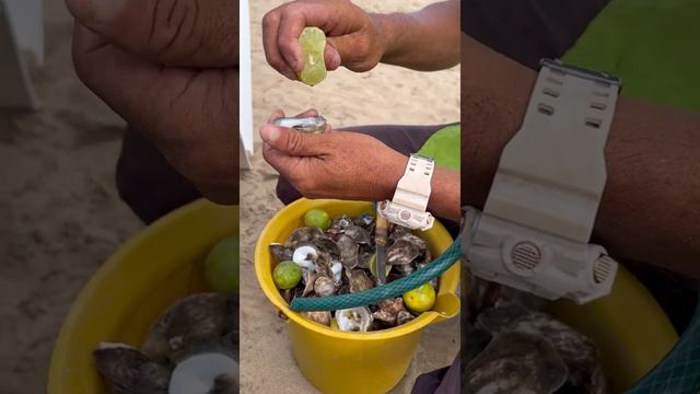 Ведро устриц на пляже на острове Маргарита. Венесуэла #shorts #островмаргарита #венесуэла смотреть онлайн
