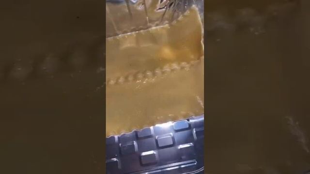 Lasagna && Deep Fried Shrimp 🍤 смотреть онлайн
