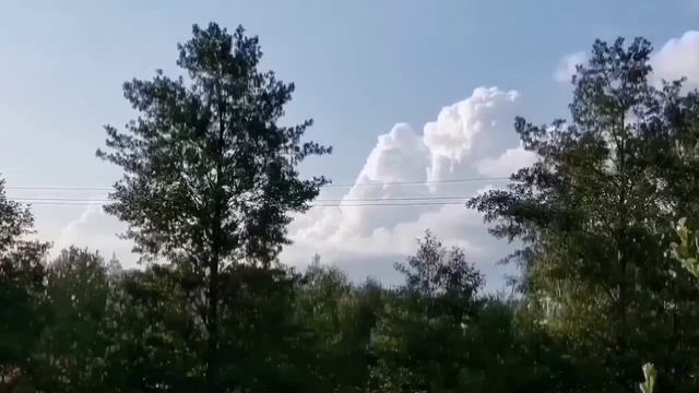 ПРИБАБАХНУТЫЕ ВСЕ! VREDINA LIFE. ОБЗОР.