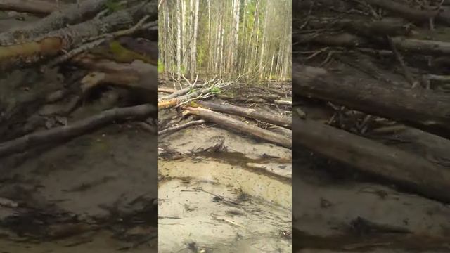 Хата бобров смотреть онлайн