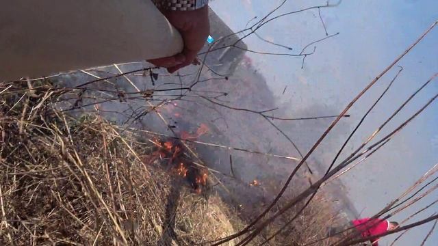 Возгорание травы в п.Дороничи смотреть онлайн