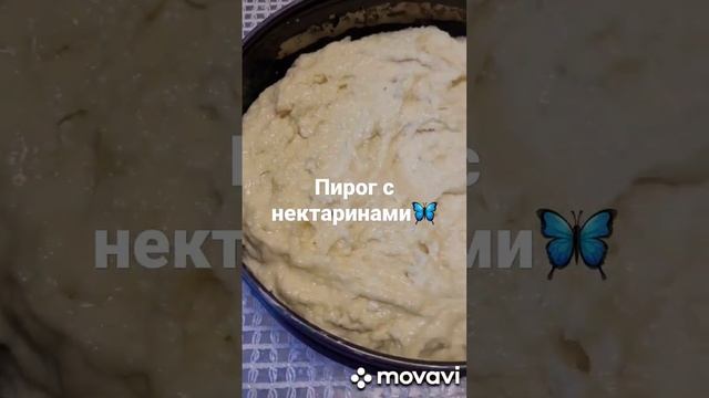 Печём пирог с нектаринами и творогом🦋#пирогнектарины#shorts смотреть онлайн