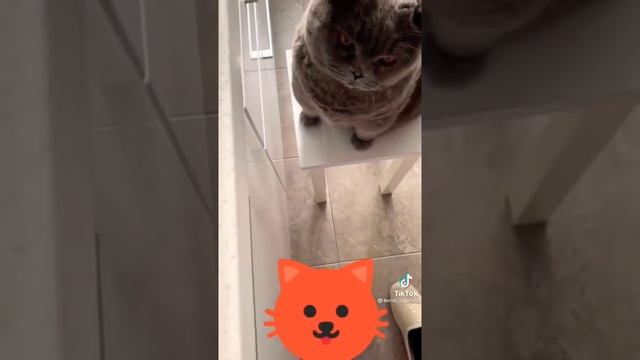 Орешки как в детстве смотреть онлайн