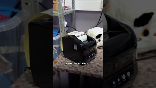 30 000 рублей для старта бизнеса на МП: 5 день. Получили первые заказы. Читай описание! #shorts смотреть онлайн