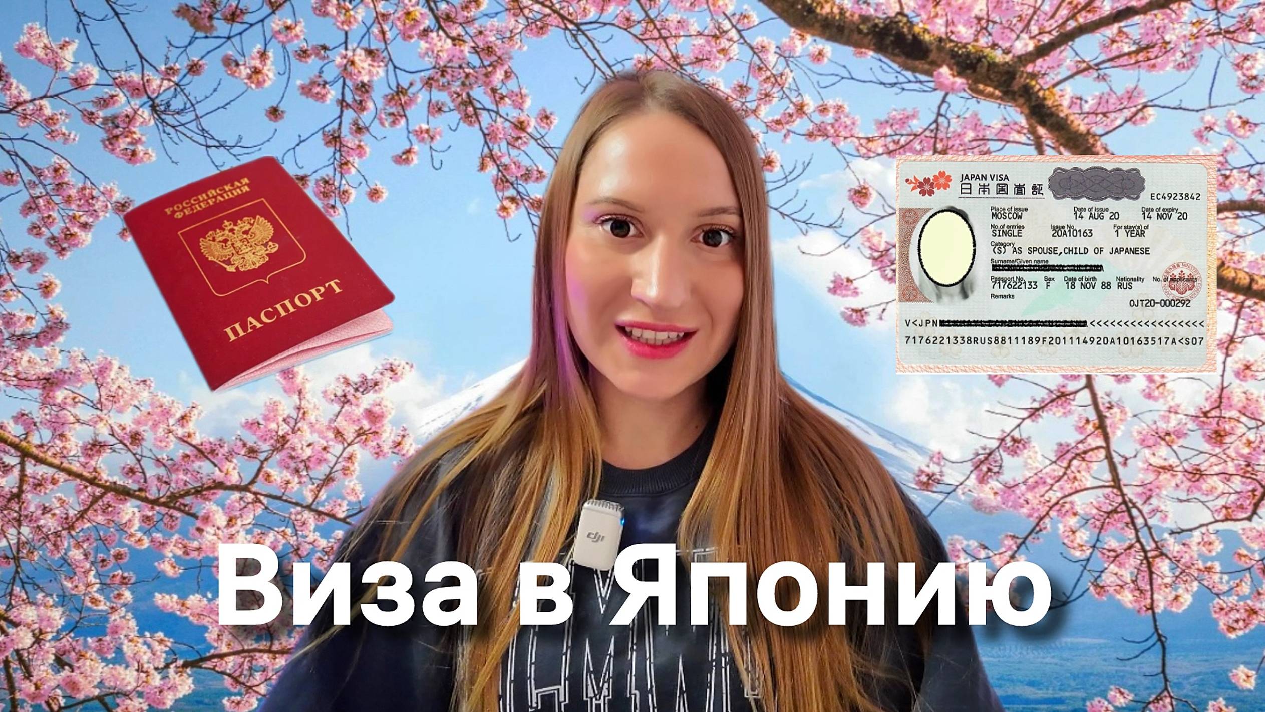 Виза в Японию. Нюансы и советы. Рассказываю свой опыт смотреть онлайн