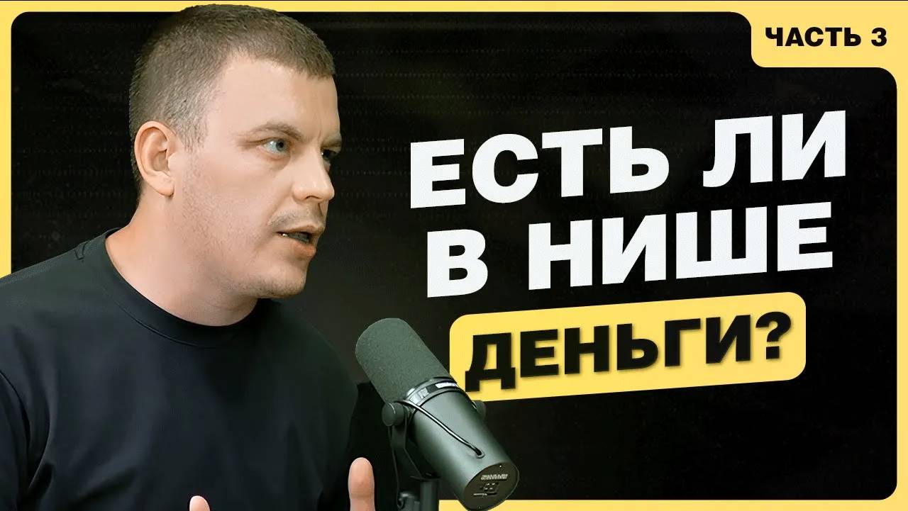 Как Найти Прибыльный Товар на Маркетплейсе: Проверяем Нишу на Денежный Потенциал [Часть 3] смотреть онлайн