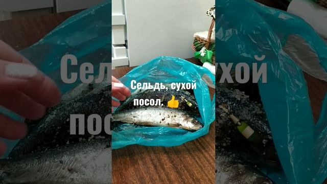 Шок ,сухая засолка сельди 😊👍 смотреть онлайн