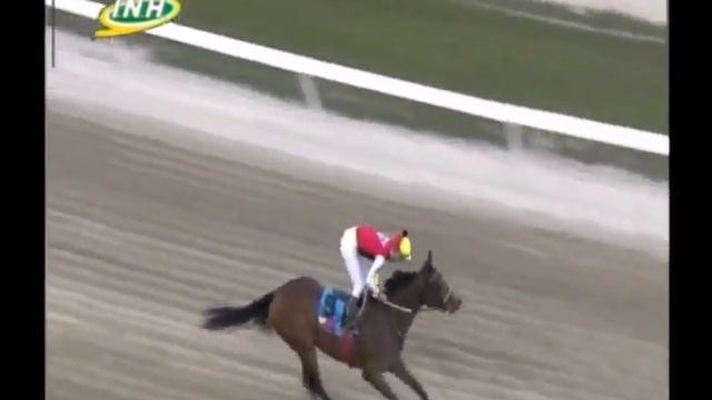 🎥🐴RESUMEN TOMA FRENTE Y NORMAL JORNADA DOMINGO 29 ENERO 2023 LA RINCONADA смотреть онлайн