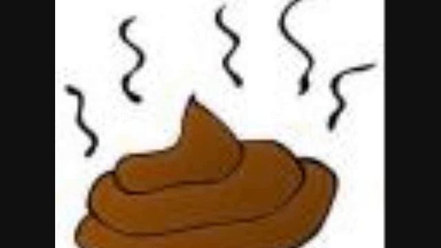 Anale Bezem "Schijterij Hoort Erbij" charity single смотреть онлайн