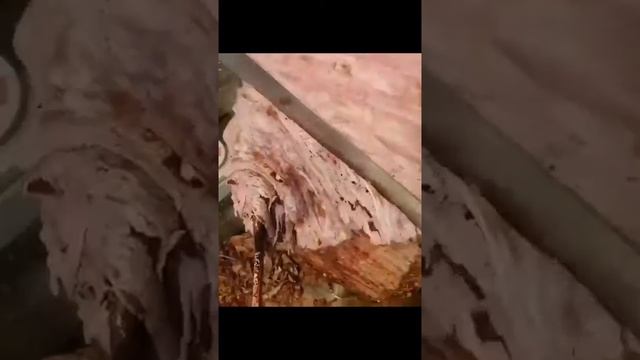 О, шаурма! смотреть онлайн