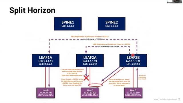 VxLAN. Аналоги VPC