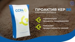 Фитобиотики для здоровья ЖКТ свиней: альтернатива антибиотикам. Проактив КЕР RS