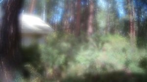 Осенняя рыбалка 2024г