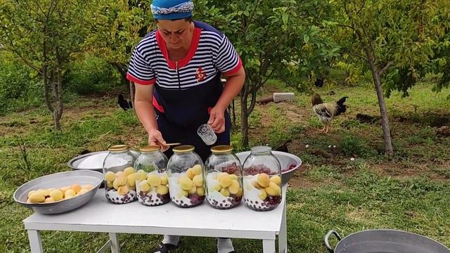 Kayısı, Kiraz, Elma Karışımından Komposto Yapımı. смотреть онлайн