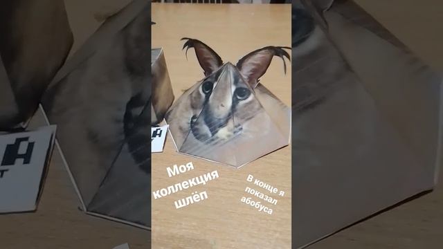 моя коллекция шлёп 😍 # хорошие пельмени #много мяса мало теста #шлёпа смотреть онлайн