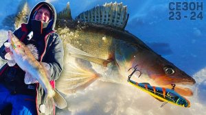 Распечатали судаковый сезон 23-24✊. СУДАК НА РАТЛИНЫ