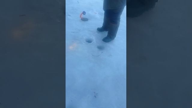 поимки форели смотреть онлайн