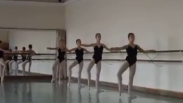 Viviana Pop examen clasa a VI-a смотреть онлайн