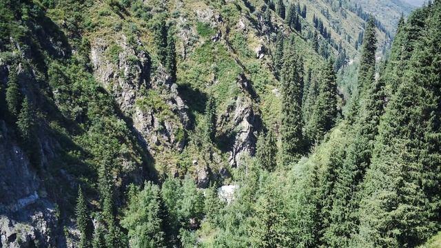 Алма Арасан Алматы смотреть онлайн