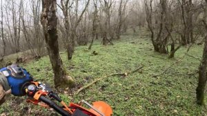 Тест драйв FX К 10 YBS 300