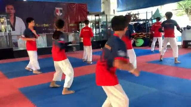 TaekwondoBasic MovementBasic Kick смотреть онлайн