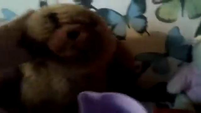 Готовим с Варварушкой. смотреть онлайн