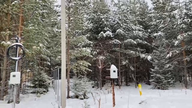 Завьяловский район, д. Докша смотреть онлайн