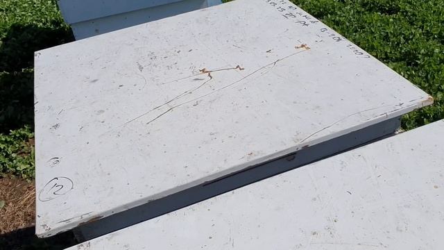 Расширение пчелосемей весной смотреть онлайн