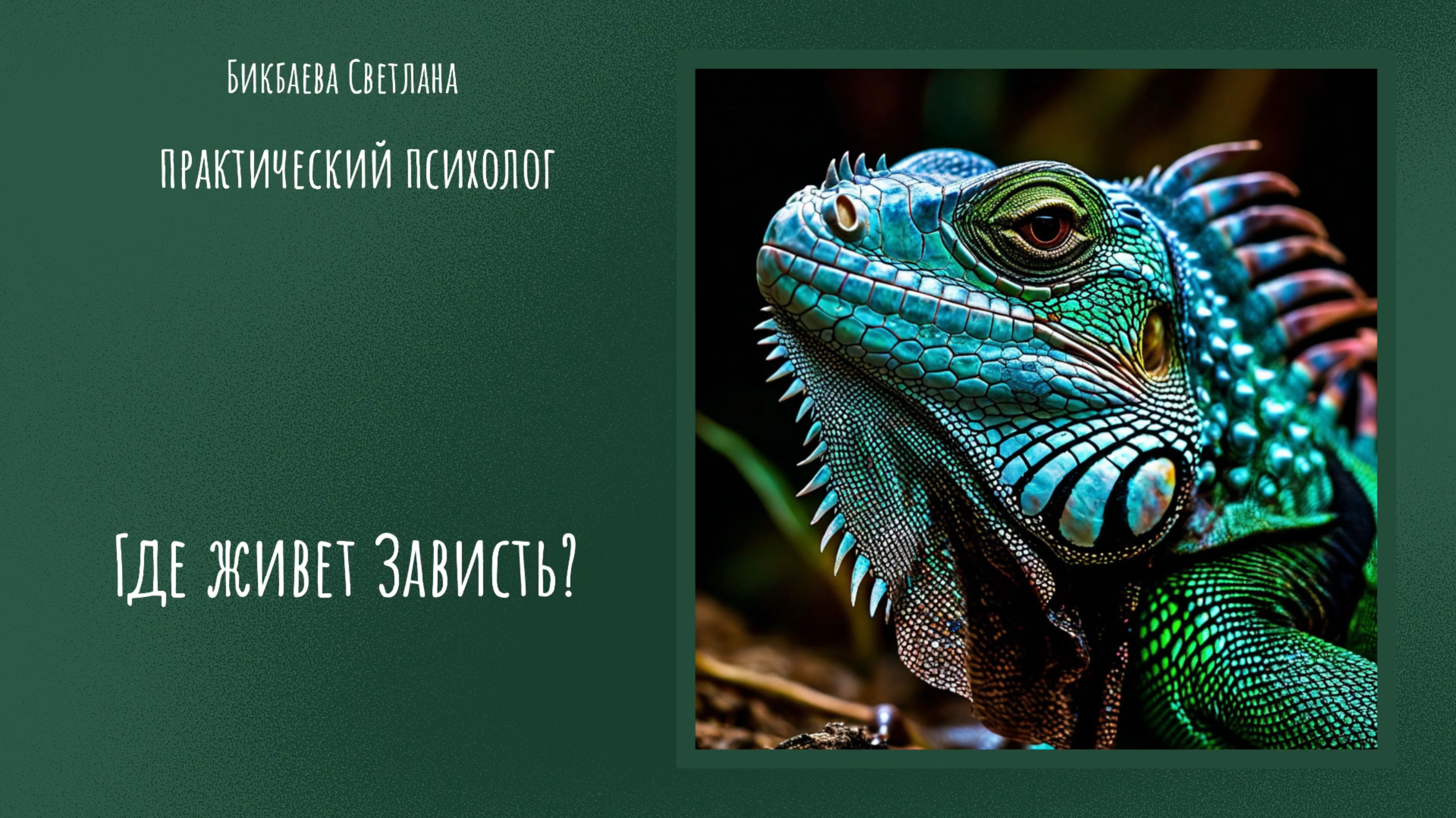 Где живет зависть? Для чего нужна зависть?