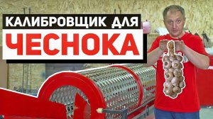 Калибровщик головок чеснока КГ-3000