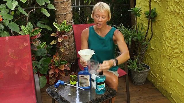 Household mosquito remedies with Kim Miller смотреть онлайн