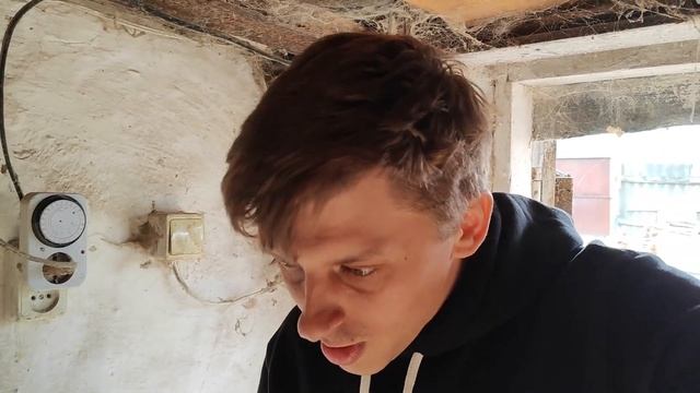 Загубил инкубацию перепела. Украли хризантемы. смотреть онлайн