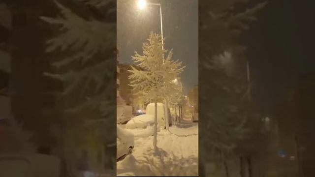 #shorts С рождеством христовым!!!! смотреть онлайн